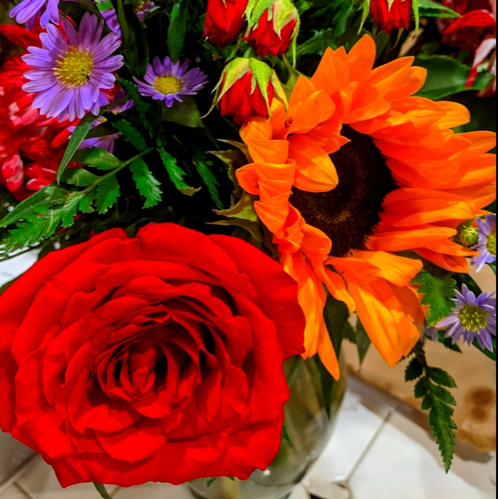 Meet your Posher, Becky